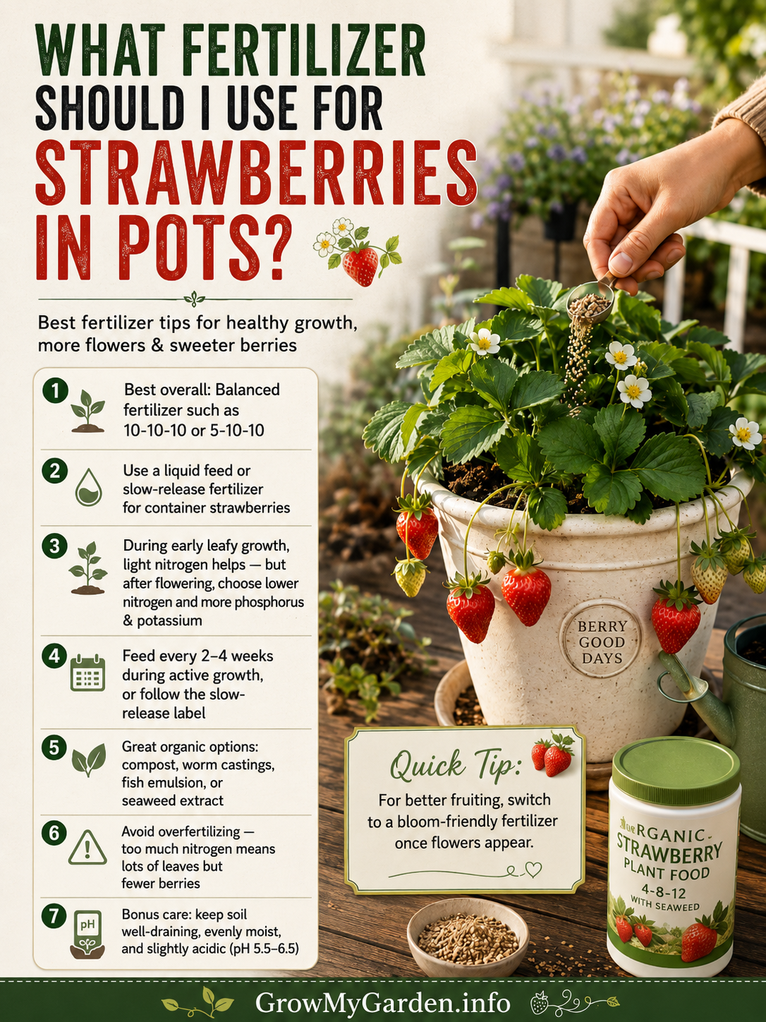 What Fertilizer Should I Use for Strawberries in Pots?